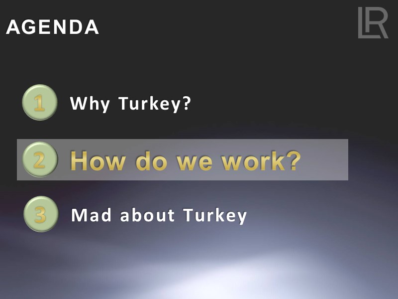 AGENDA Why Turkey? 1 How do we work? 2 Mad about Turkey 3